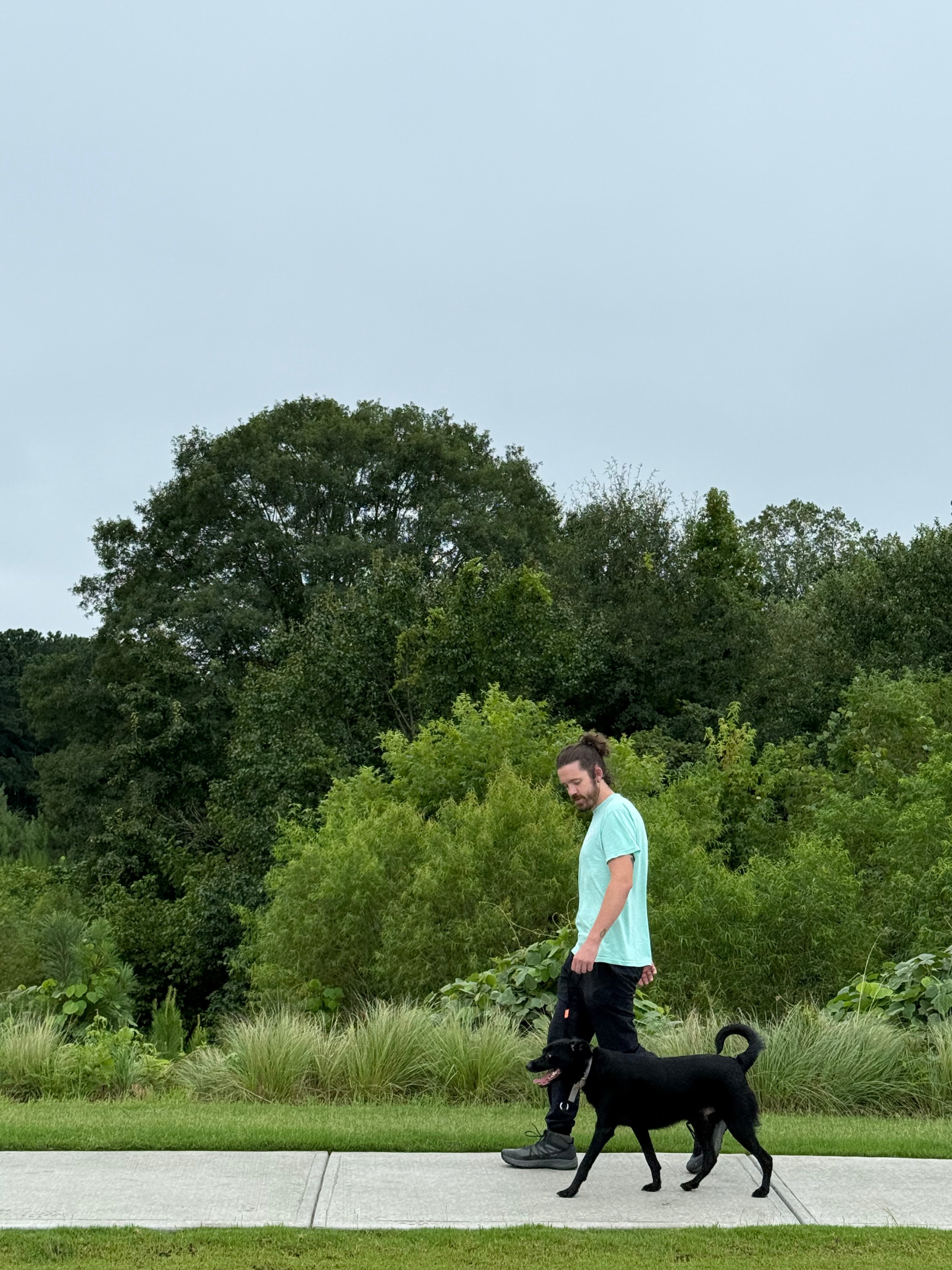 Brett walking a black dog on leash along a green path